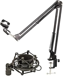 Lastvoice Nb39 Mikrofon Standı + Shock Mount Seti ürün görseli 1