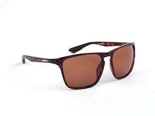 Shimano Eyewear - Kaplumbağa Mavisi & Bakır ürün görseli 1