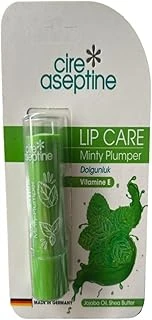 Lip Care Minty Plumper Dudak Nemlendirici 4,5 G ürün görseli 1