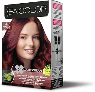 Sea Color 4.6 Kestane Kızılı Set Boya ürün görseli 1