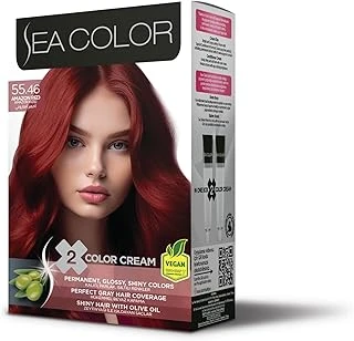 Sea Color 55.46 Kızılı Set Boya ürün görseli 1