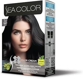 Sea Color 1.0 Siyah Set Boya ürün görseli 1