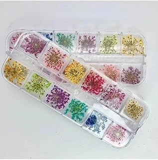 Fontenay Nail Gerçek Kuru Süsleme Çiçekleri(12'Li) Protez Tırnak Renkli ürün görseli 1
