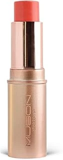 Stick Blusher ürün görseli 1