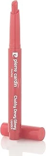 Pierre Cardin Chubby Dewy Glowy Lipstick-Ruj-Nude Rose-406 ürün görseli 1