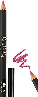 Pierre Cardin Lipliner Uzun Süre Kalıcı Dudak Kalemi ürün görseli 1