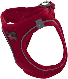 Lepus Pet Air Mesh Kırmızı Göğüs Tasması Small ürün görseli 1