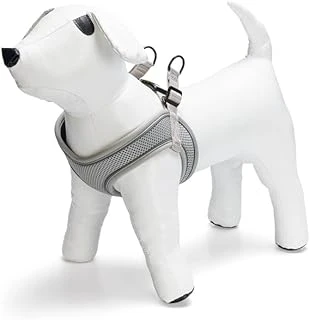 Beeztees Göğüs Tasması, Neopren, Yeşil, Xs, 30-35Cm ürün görseli 1