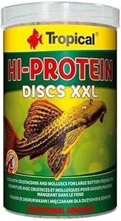 Tropical High Discus Xxl Kovadan Bölme 100Gr ürün görseli 1