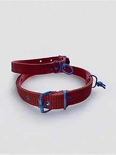 Büyük Boy Tasması Turuncu 60 Cm ürün görseli 1