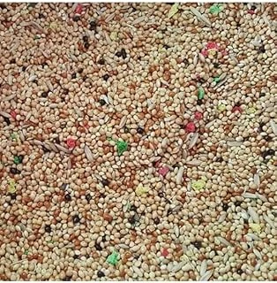 Birdmozz Muhabbet Kuşu Yemi 1 Kg ürün görseli 1