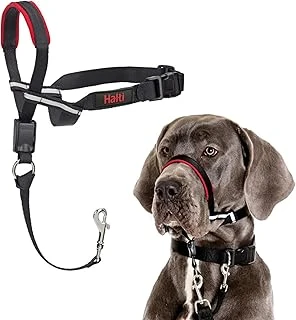 Company Of Animals Halti Optifit Ağızlıklı Tasma, Büyük Boy Siyah ürün görseli 1