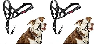 Şirket Hayvanlarının Halti Halter, Boyut 2 (35-48 Cm), Siyah (2 Paketi) ürün görseli 1