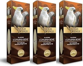 3'Lü Büyük Boy Gold Wings Kalamar Kemiği ürün görseli 1