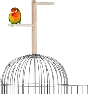 X-Perk Ağaç Sopalı Kuş Tüneği Kuş Parkuru Tünek Boy 23 Cm ürün görseli 1