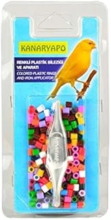 Renkli Kanarya Bileziği ürün görseli 1