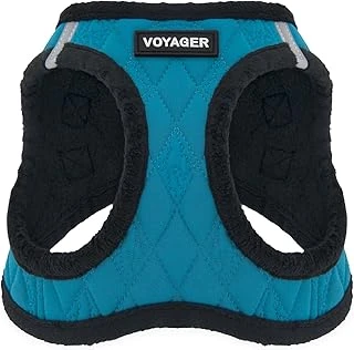 Voyager Step-In Peluş Koşum Takımı - Yumuşak Peluş, İyi Evcil Hayvan Malzemelerinden Küçük Orta Boy Köpekler Için Atlamalı Yelek Koşum Takımı - Turkuaz Peluş, Xs (Göğüs: 13-14,5 Inç) ürün görseli 1