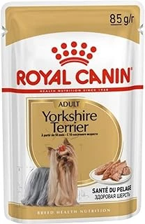 Yorkshire Terrier Pouch Yetişkin Köpekler İçin Konserve Mama, 85 G ürün görseli 1