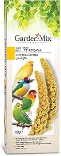 Gardenmix Platin Sarı Dal Darı ürün görseli 1