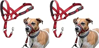 Company Of Animals Halti Baş Tasması - Dolgulu Burun Bandı, Ayarlanabilir Yansıtıcı, Küçük Köpekler İçin Profesyonel Çekme Önleyici Eğitim Yardımcısı (Boyut 1, Kırmızı) (2 Paketi) ürün görseli 1