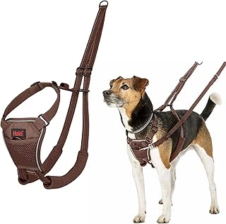 Halti Çekme Önleyici Koşum Takımı - Tasma Kayışından Çekmeyi Durduracak Profesyonel Koşum Takımı, Ayarlanabilir, Yansıtıcı Nefes Alabilir, Küçük Köpekler Için (S Boy, Derin Ceviz) ürün görseli 1