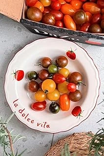 Rakle X Bengi Kurtcebe Pomodoro Stoneware 4'Lü Yemek Tabağı Seti 23 Cm ürün görseli 1