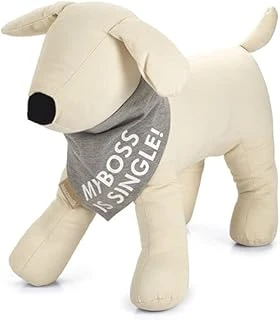 Beeztees Bandana Boyun Tasmasi ürün görseli 1