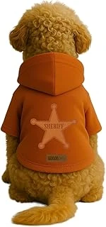 Baskılı İçi Polarlı Kıyafeti & Elbisesi - Turuncu Renk Kapüşonlu Hoodie B2Ae2 M ürün görseli 1