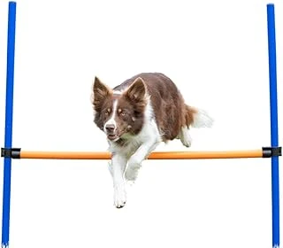 Trixie Agility Eğitim Manisi , 123×115×Ø3 Cm ürün görseli 1