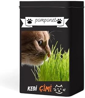 Evde Kolay Yetiştirme – Pomponet Çimi Ile Yıl Boyu Yeşillik! ürün görseli 1