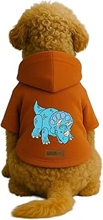 Baskılı İçi Polarlı Kıyafeti & Elbisesi - Turuncu Renk Kapüşonlu Hoodie Bfee2, L ürün görseli 1