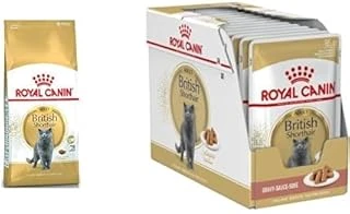 British Shorthair Yetişkin 10 Kg + 12 Adet British Shorthair Yaş 85 Gr ürün görseli 1