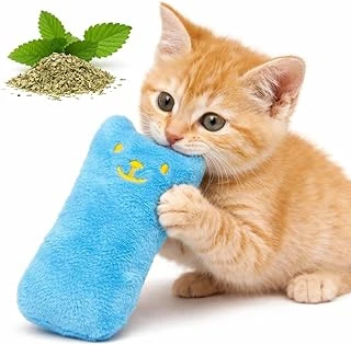 Catnip Oyuncağı – Sesli Peluş Oyuncak, Isırınca Ses Çıkaran Plush Cat Toy, Yumuşak Dayanıklı Mini Boy Oyuncağı, Kediler Için Eğlenceli Oyuncak ürün görseli 1