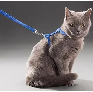 Orret 110 Cm Vücuda Takılan Tasması, Konforlu Ayarlanabilir Tasarım, Güvenli Yürüyüşler Için Ideal, Dayanıklı Şık Harness,Göğüs Tasması ürün görseli 1