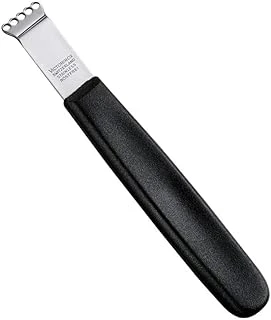 Victorinox Set Zitronenschaber Naylon Siyah, 5.3503 ürün görseli 1