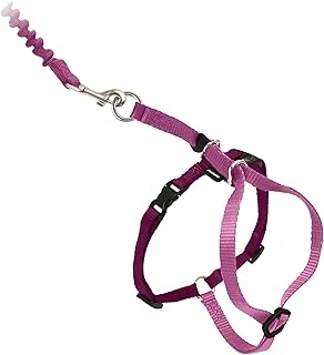 Petsafe Come With Me Kitty Koşum Takımı Bungee Tasma, Kediler Için Koşum, Büyük, Tozlu Gül/Bordo ürün görseli 1