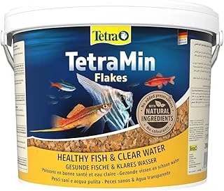 Tetra Tetramin Flakes Kova 10 Litre ürün görseli 1