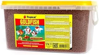 Tropical Goldfish Colour Pellet Kovadan Bölme 100Gr ürün görseli 1