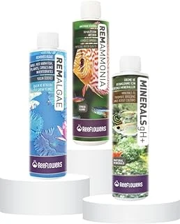 Yosun Giderici,Amonyak Mineral Seti ürün görseli 1