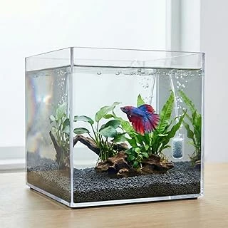 Kristal Küp Nano Akvaryum & Beta Fanusu 20X20X20 Cm 7 Litre - Karides Balık Akvaryumu ürün görseli 1