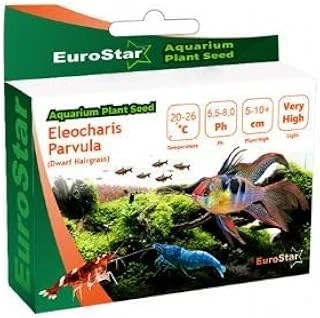 Eurostar Bitki Eleocharis Parvula ürün görseli 1