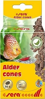 Sera Kızılağaç Kozalağı 50 Adet ürün görseli 1