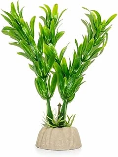 Plastik Akvaryum Bitkisi 10 Cm ürün görseli 1