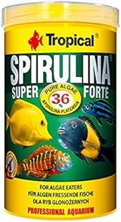 Tropical Super Spirulina Forte Pul 100Gr Kovadan Bölme ürün görseli 1