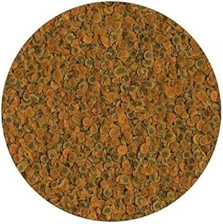 Tetra 250Gr - Kovadan Bölme ürün görseli 1