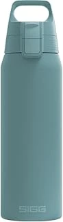 Sigg - Yalıtımlı Içecek Şişesi – Shield Therm One Morning – Asitli Içecekler Için Uygundur – Sızdırmaz – Bulaşık Makinesinde Yıkanabilir – Bpa Içermez –%90 Geri Dönüştürülmüş Paslanmaz Çelik – ürün görseli 1