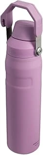 Aerolight Iceflow Fast Flow İçecek Şişesi, 0.60 Litre, Lila ürün görseli 1