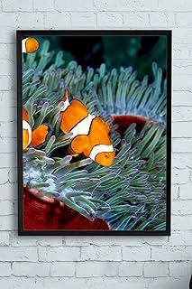 Postermanya (Pster10018) Balık Hayvan Çerçeveli Tablo (50X70Cm) ürün görseli 1