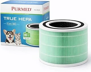 Purmed Levoit Core 300, Core 300S Air Purifier Uyumlu Hepa + Karbon Filtre - (Yeşil) ürün görseli 1