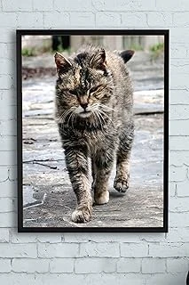 Postermanya (Pster11548) Hayvan Çerçeveli Tablo 3 (30 X 40Cm) ürün görseli 1